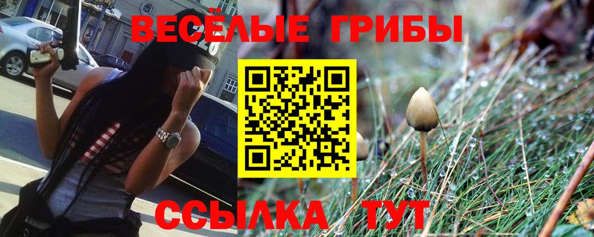 Славянск-на-Кубани  Псилоцибиновые грибы GOLDEN TEACHER  Вход с VPN  Галлюциногенные грибы прущие грибы 